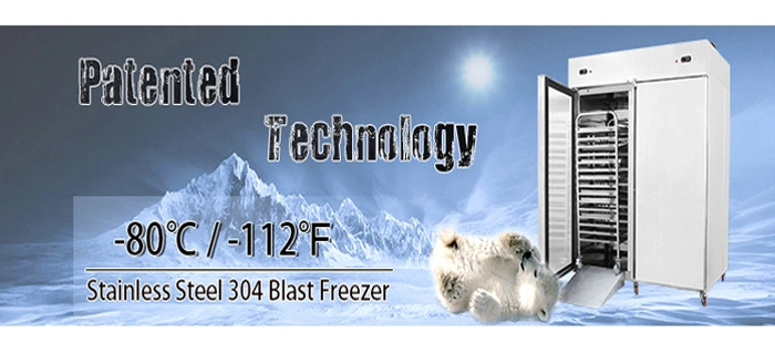 Competitive Price Medium Cold Storage Room Cool Freezing Refrigeration Equipment