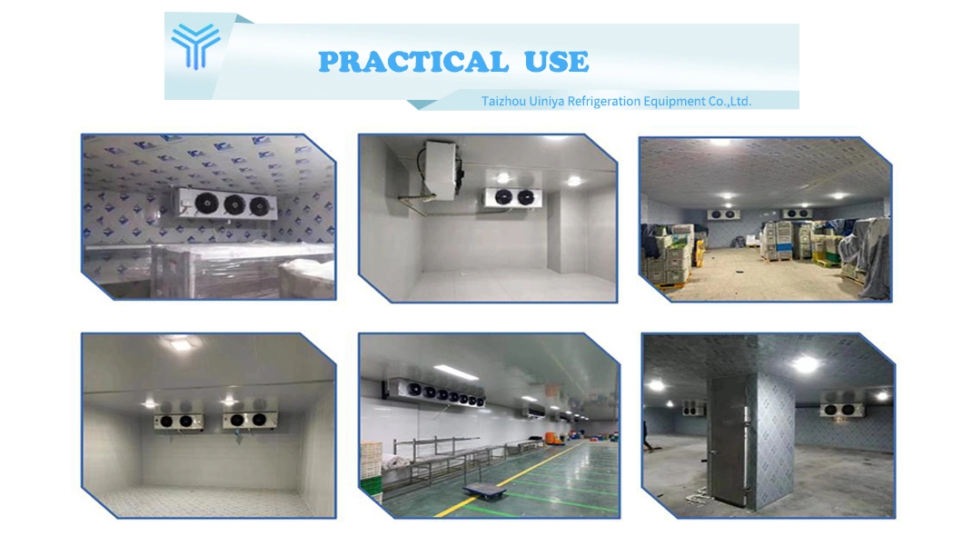 Ultra-Low Temperature Industrial Refrigeration Equipment