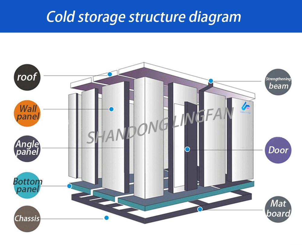 Free Installation 20" 40" New or Used Reefer Container Refrigeration Equipment for Vegetables Meat