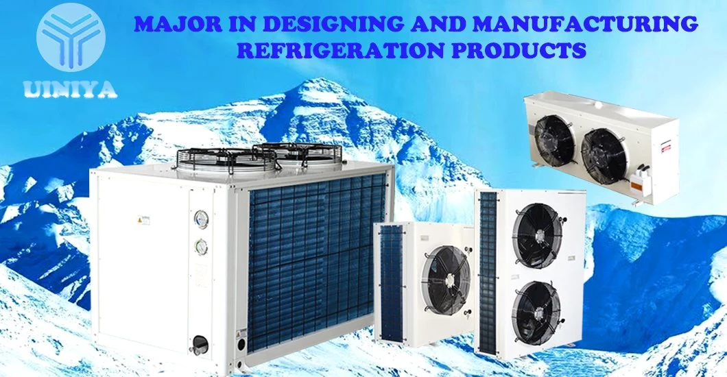 Ultra-Low Temperature Industrial Refrigeration Equipment